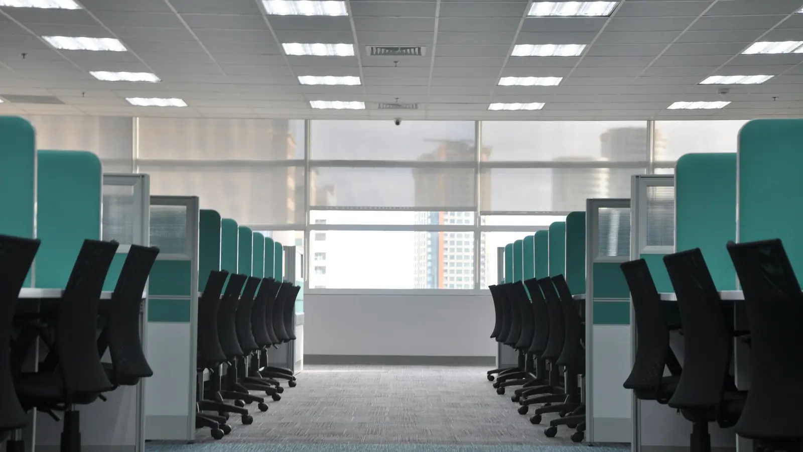 Rows of empty office chairs at cubicle desks