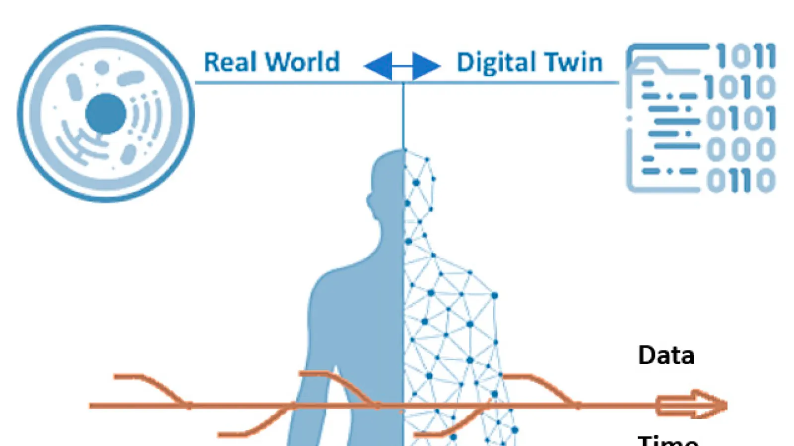 Medical digital twins: