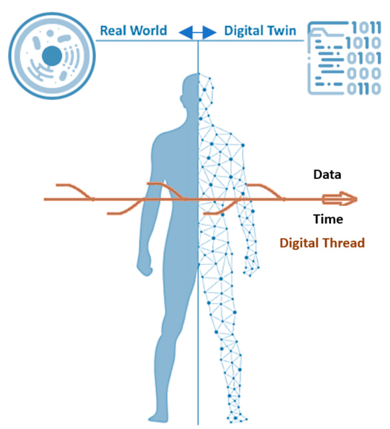 Medical digital twins: